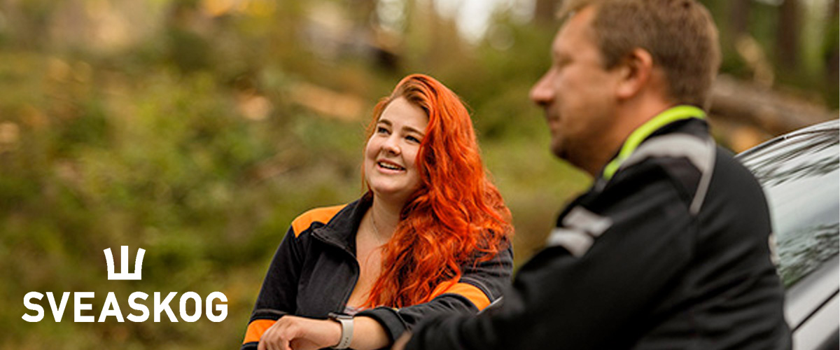 skog_lediga_jobb_banner.jpg