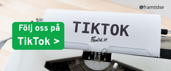 framitdse_tiktok.gif