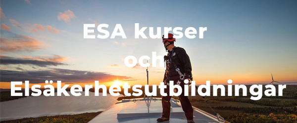 amsac_elkurser.jpg