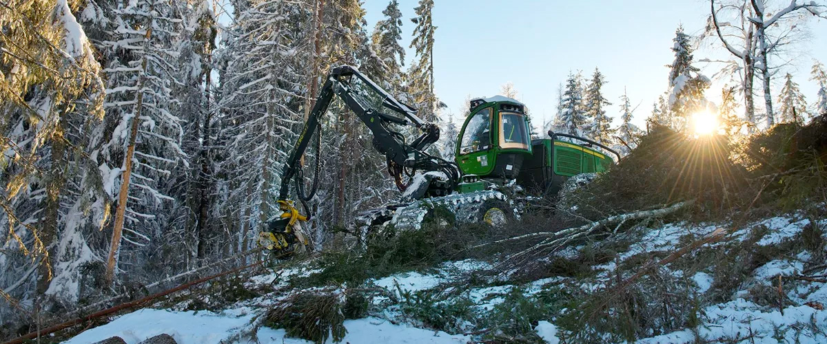 skog1.jpg