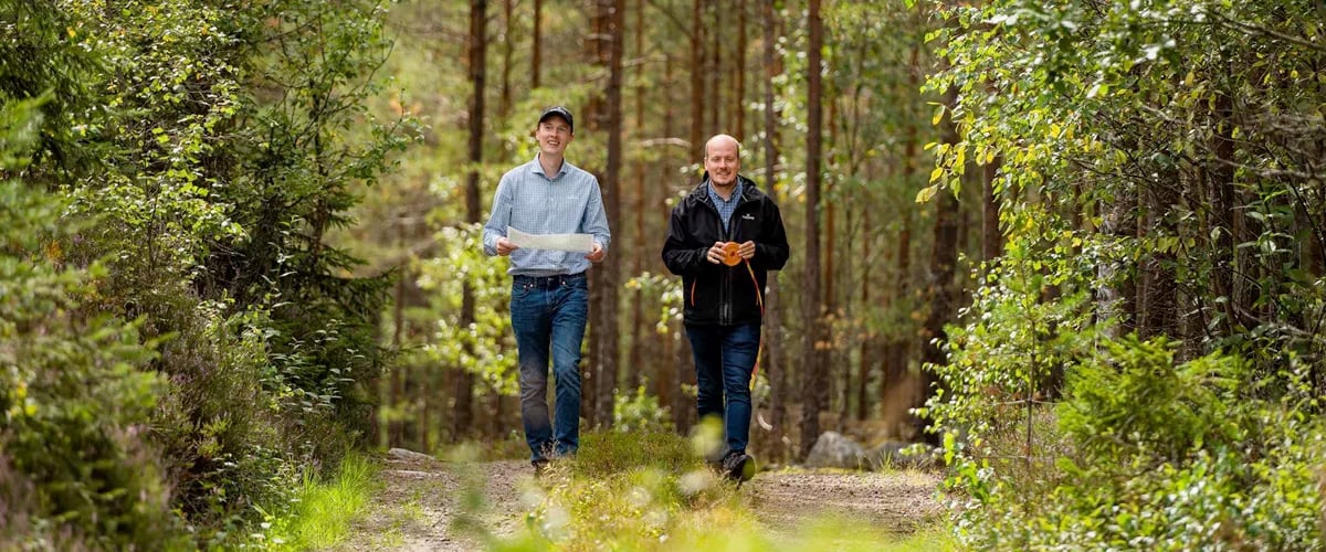 skog4.jpg