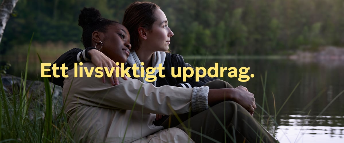 Tamro_Framtid.se_Toppbild_011.jpg