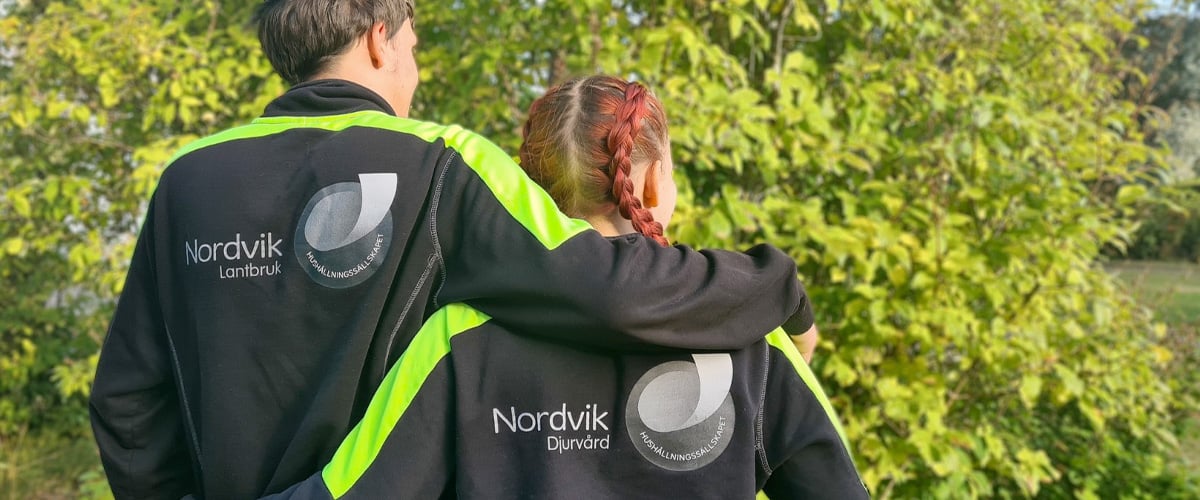 nordvik_3.jpg