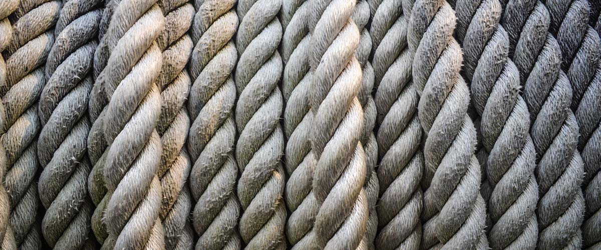shutterstock_235133680.jpg