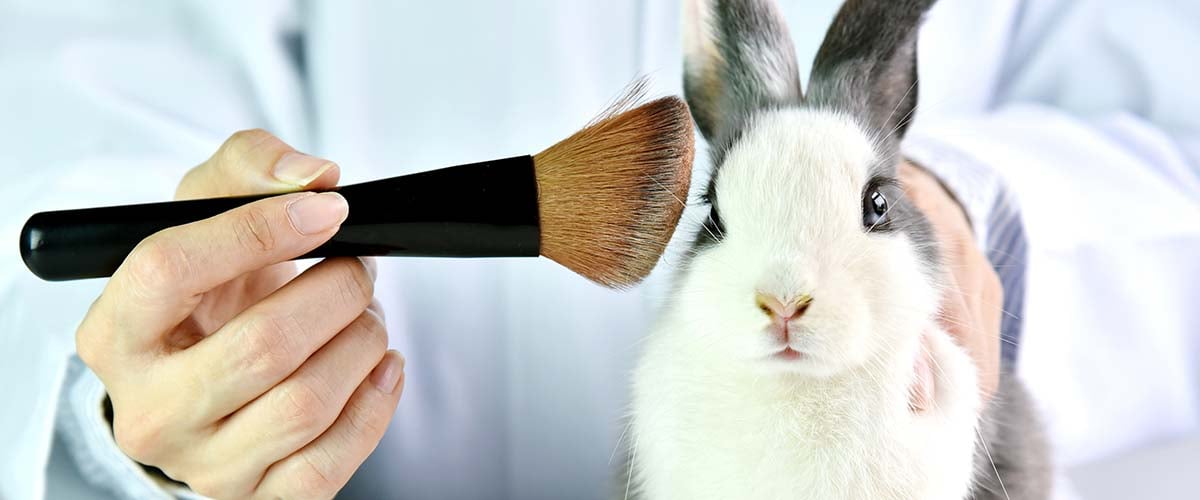 shutterstock_745305673.jpg