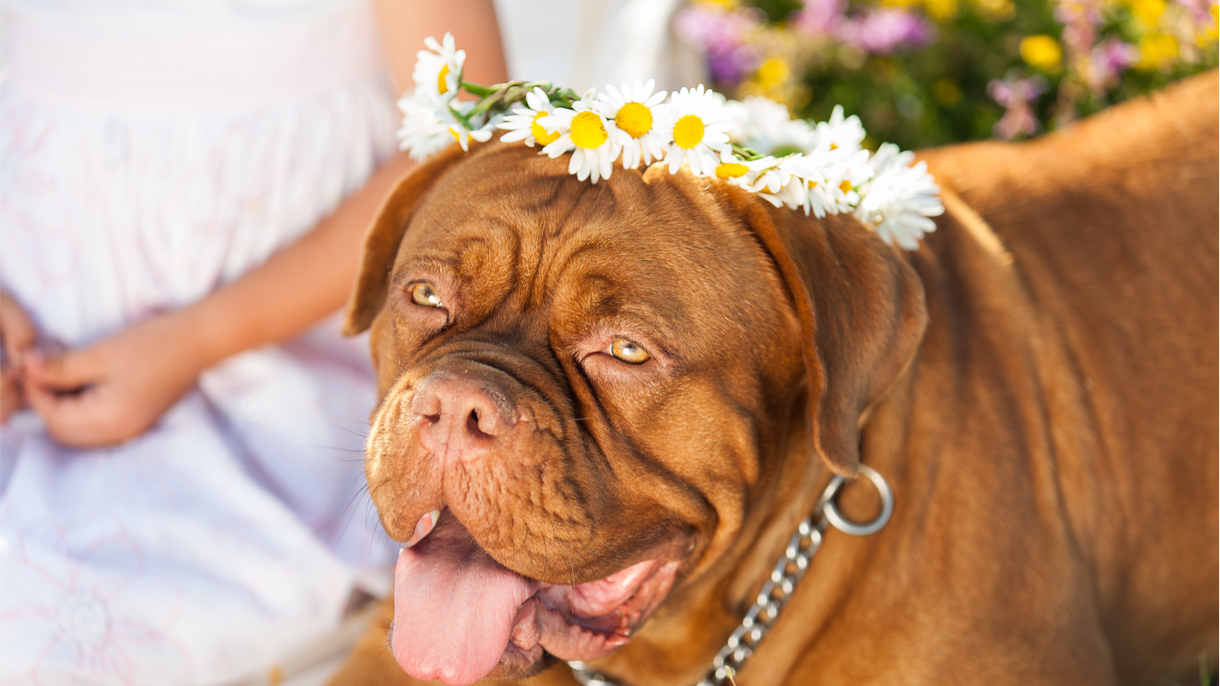 shutterstock_139761106.jpg