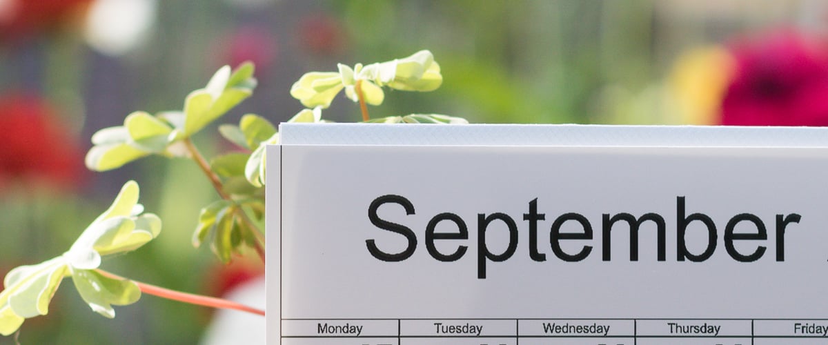 shutterstock_1156225921.jpg