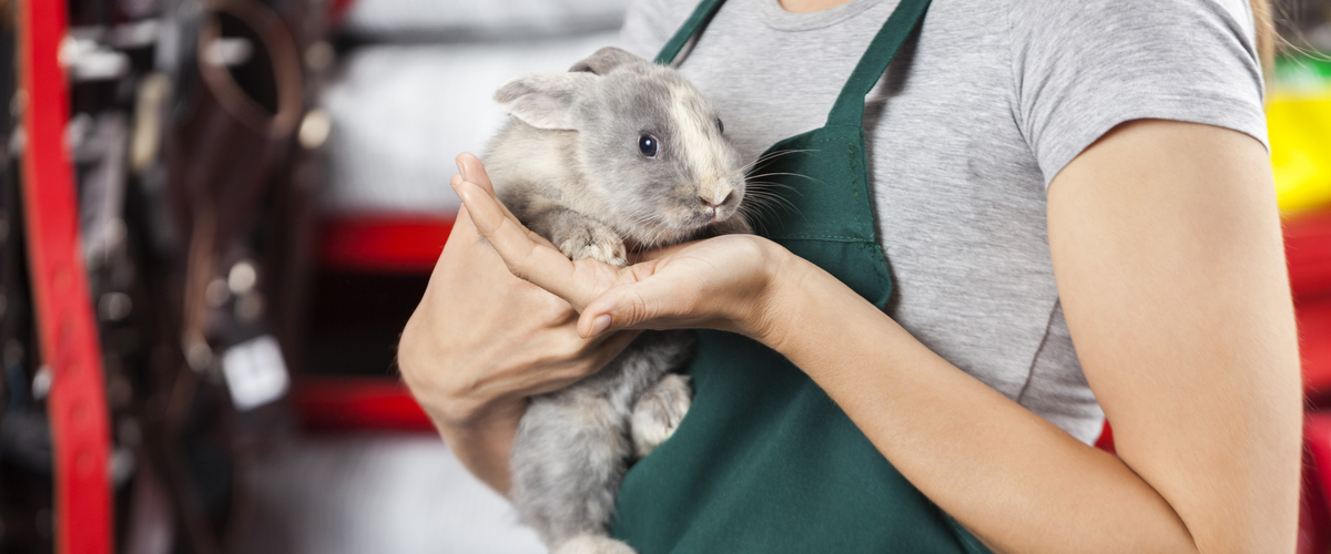 shutterstock_471125762.jpg