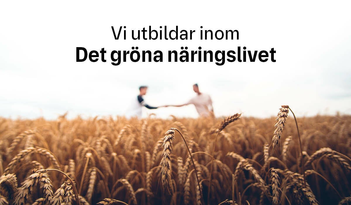 Yhskolans bild